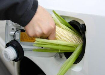 Alternative-fuels-biofuels