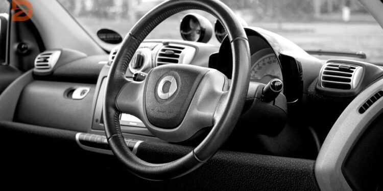 Steering-wheel-covers-customization